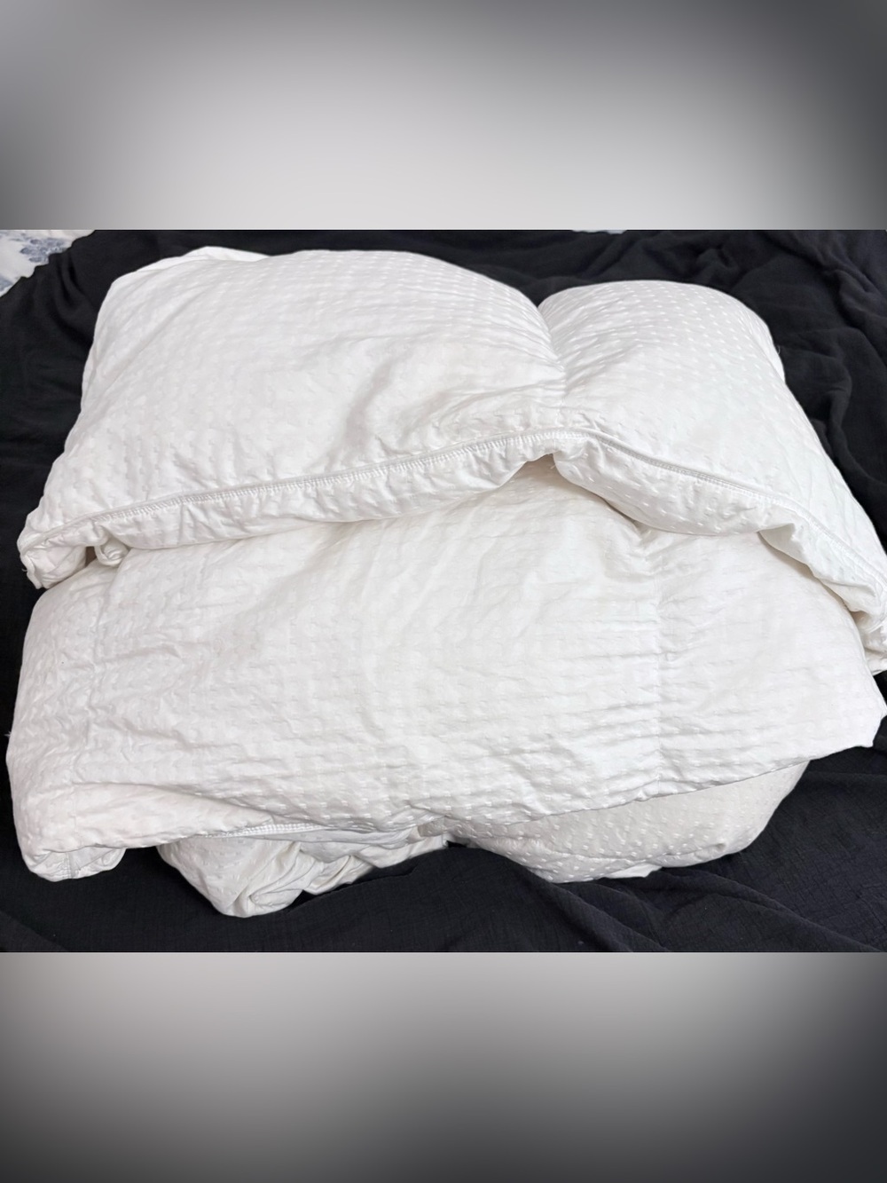Luxury King Size 100% Goose Down Comforter All Season Duvet Insert Fluffy Lofty